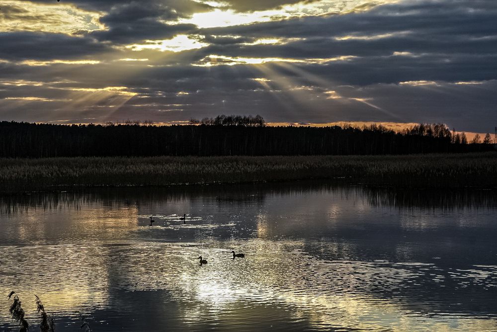 Последние лучи.