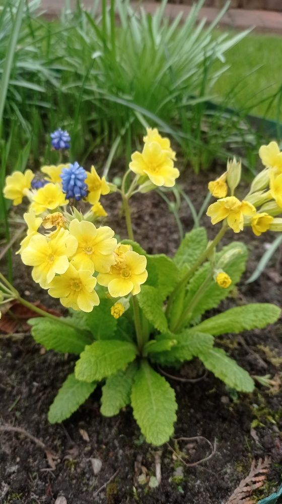 Фотография автора Костя