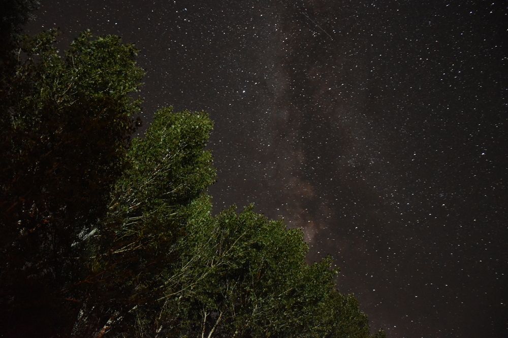 Фотография автора Ermac Kiyani