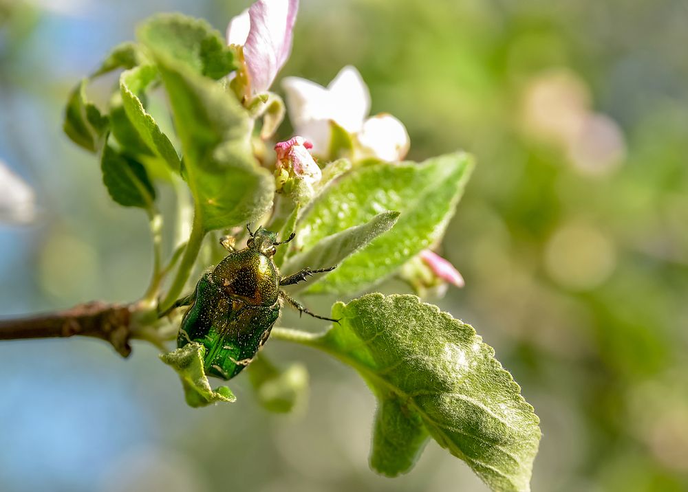 Photograph by Denis Polushin
