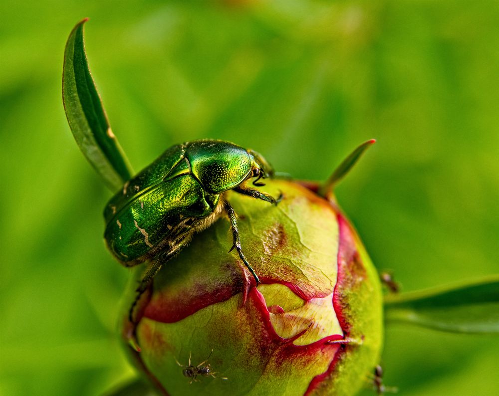 Photograph by Denis Polushin