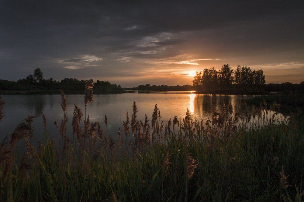 Вечер у тихой заводи