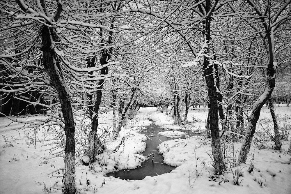 Вологодские кружева