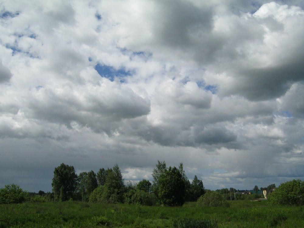 Перед гррозой .
