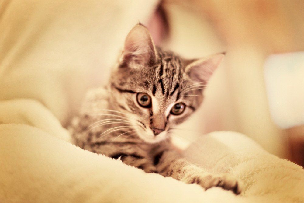 Photograph by ольга