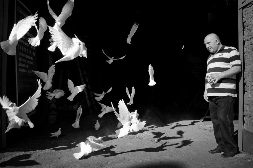 Photograph by Соловьева Татьяна