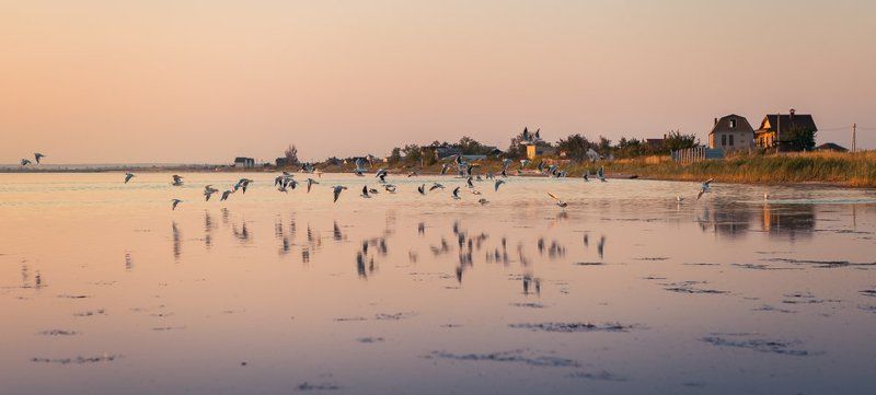 Галина, Russia