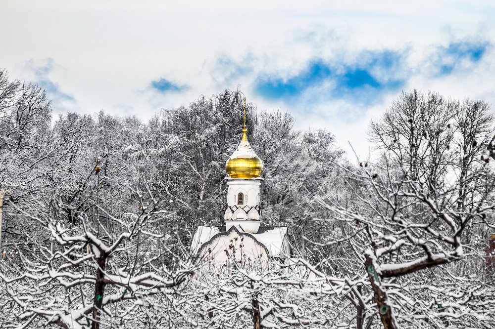 Фотография автора Руслан Тохтиев