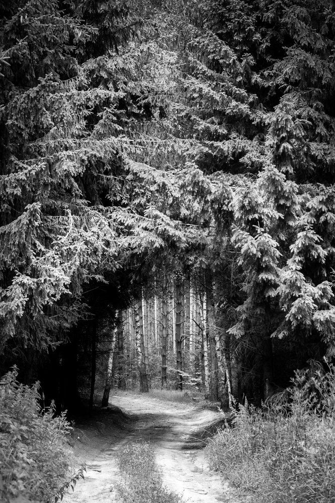 Photograph by Александр