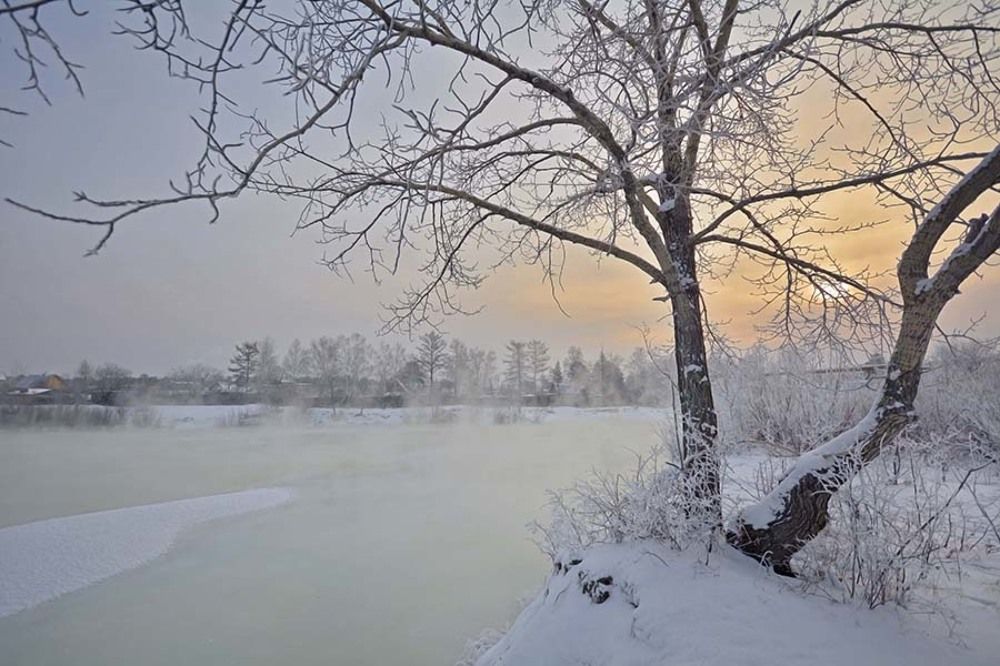 Немного тумана