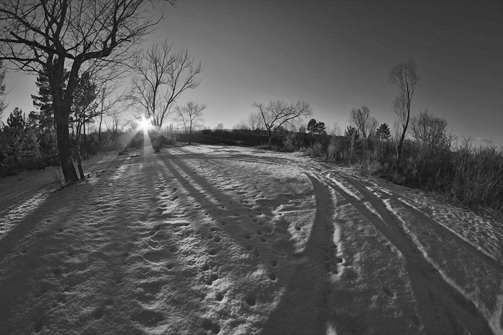 Первый снег