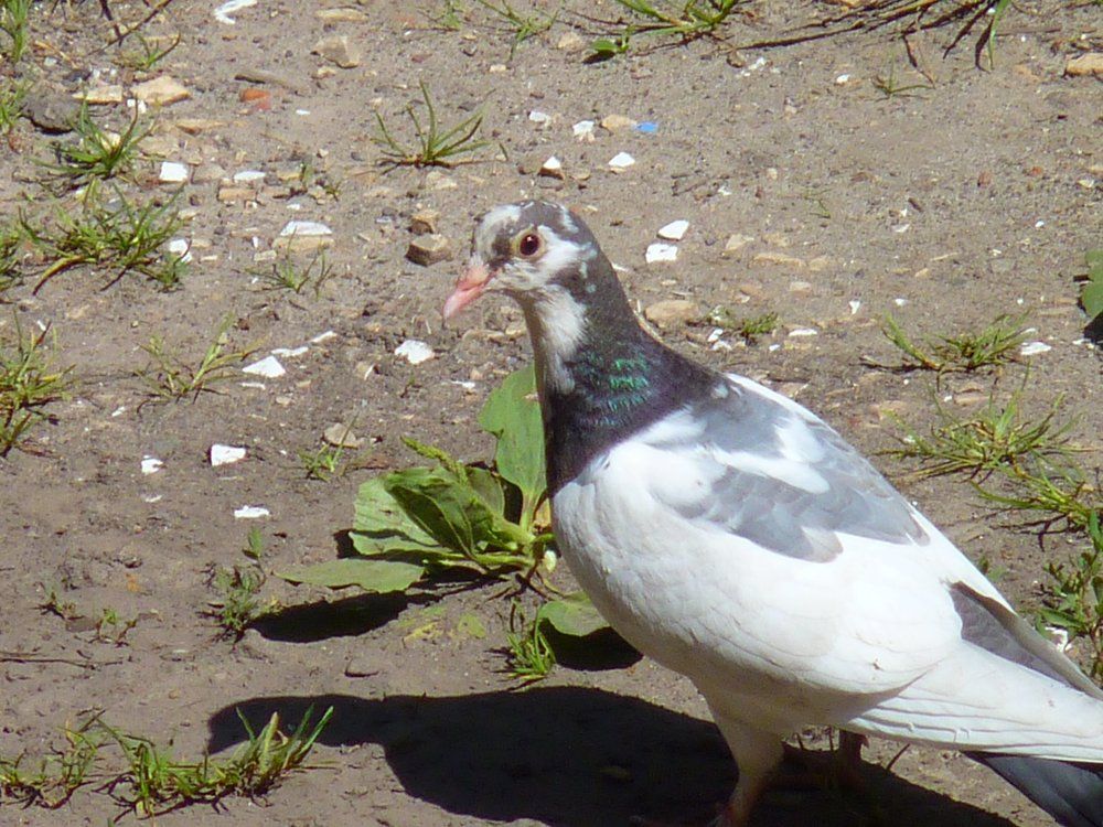 Photograph by Іван Грицай