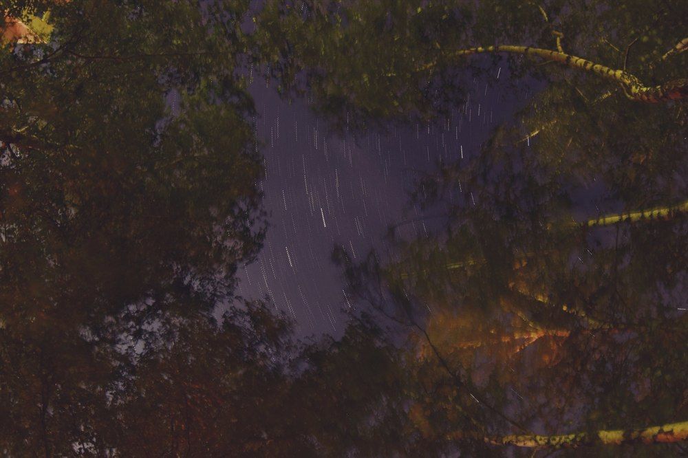 Photograph by Дмитрий