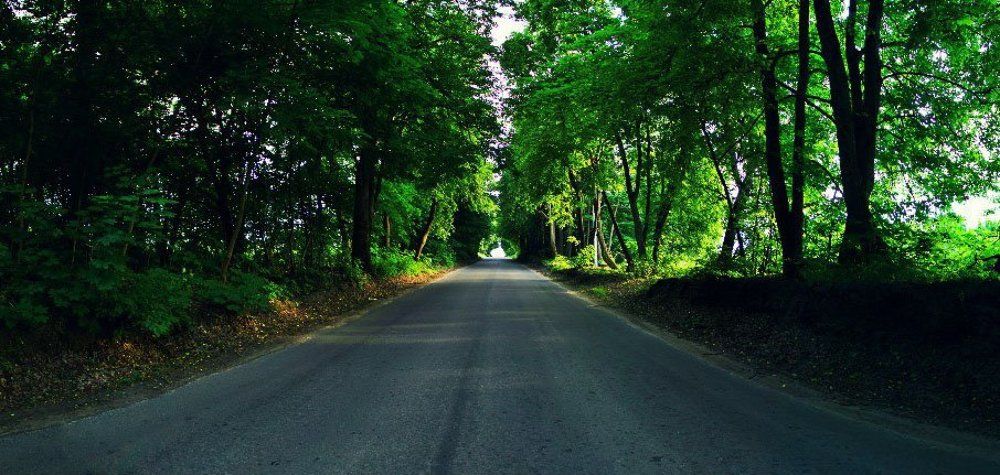 Живой туннель