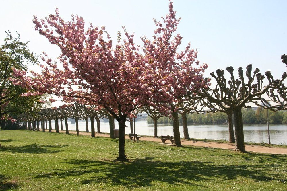 Frühling