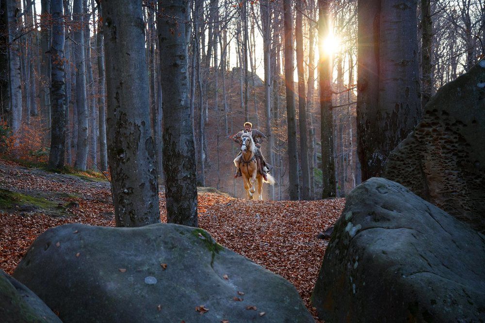 Photograph by дмитрий