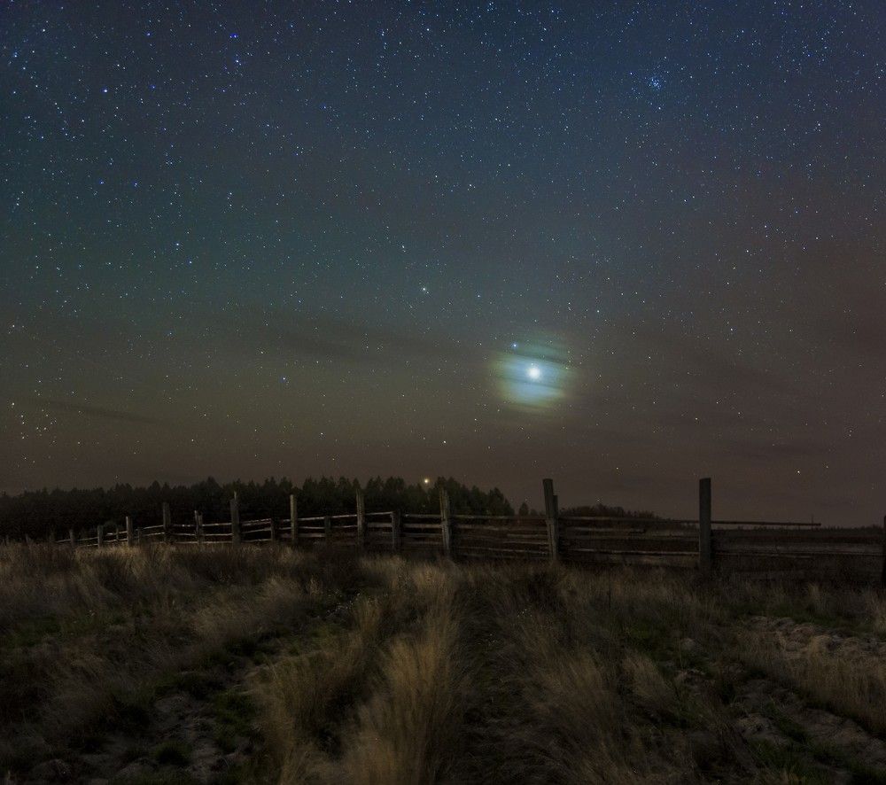 Ночная сказка