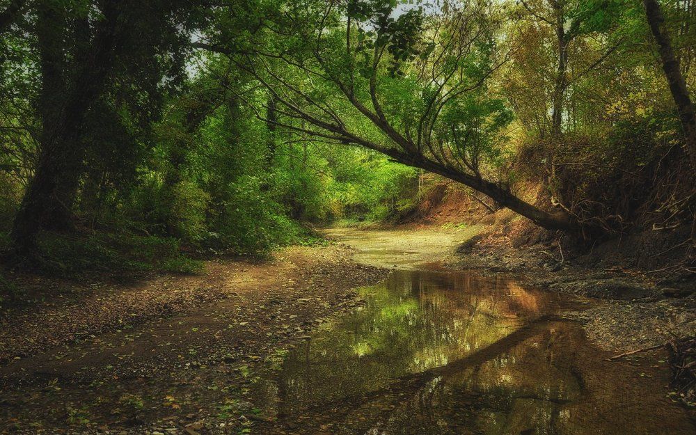Где-то в предгорьях...