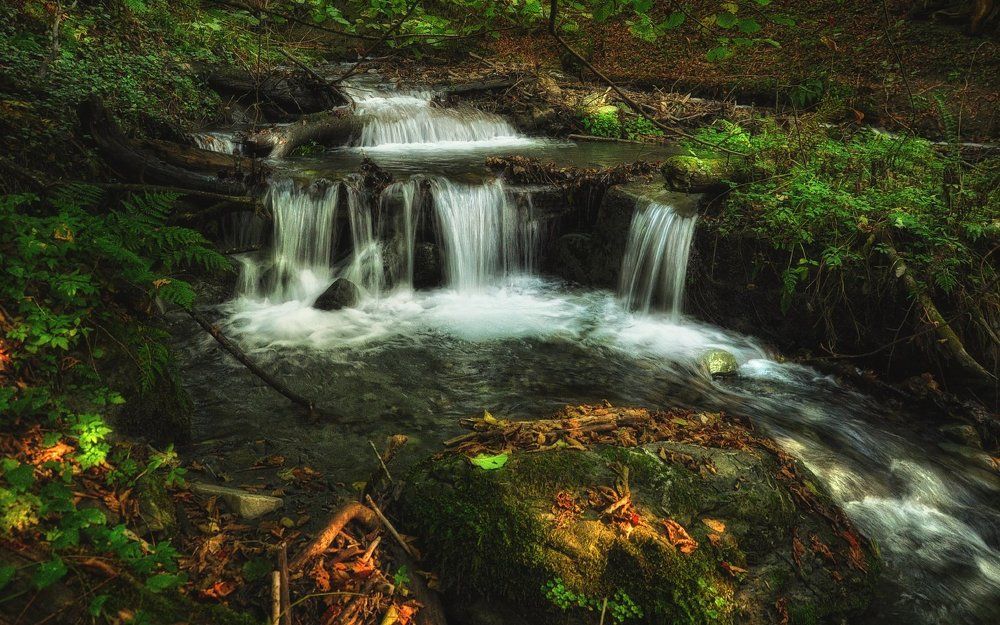 Ноябрьские каскады...