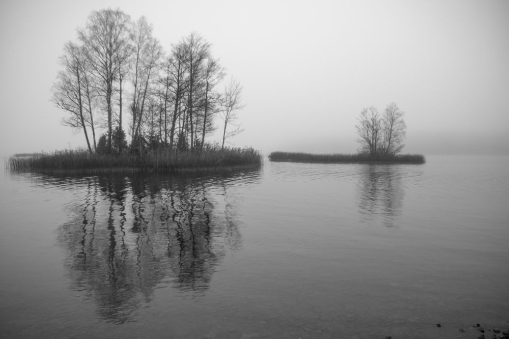 время больших стрекоз