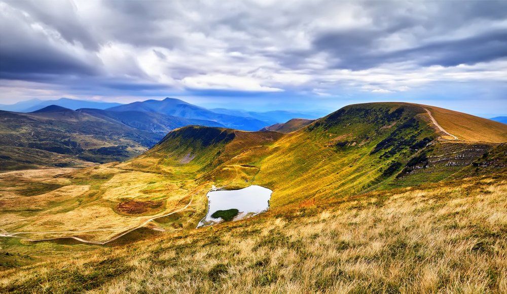 Суровая красота