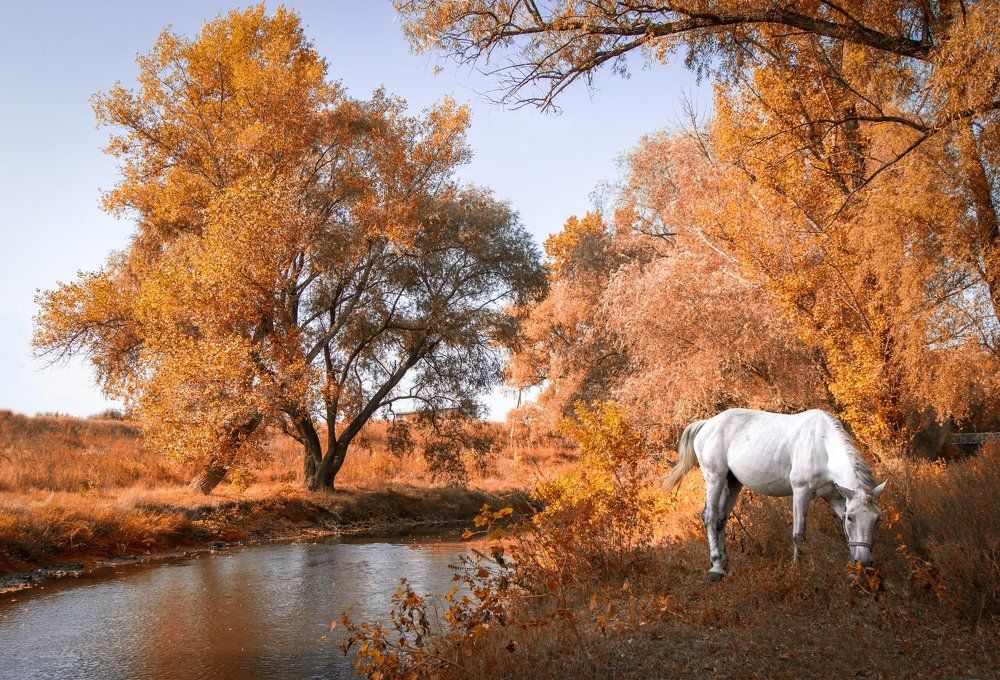 "День в лесу"