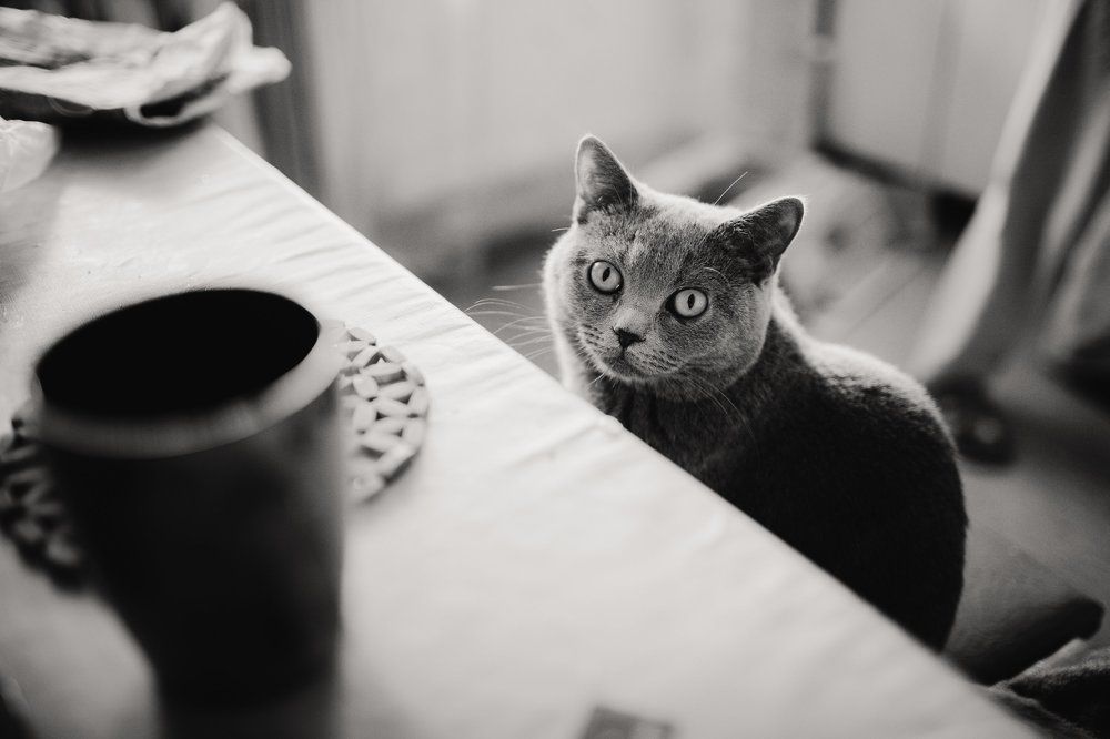 Обед скоро будет?