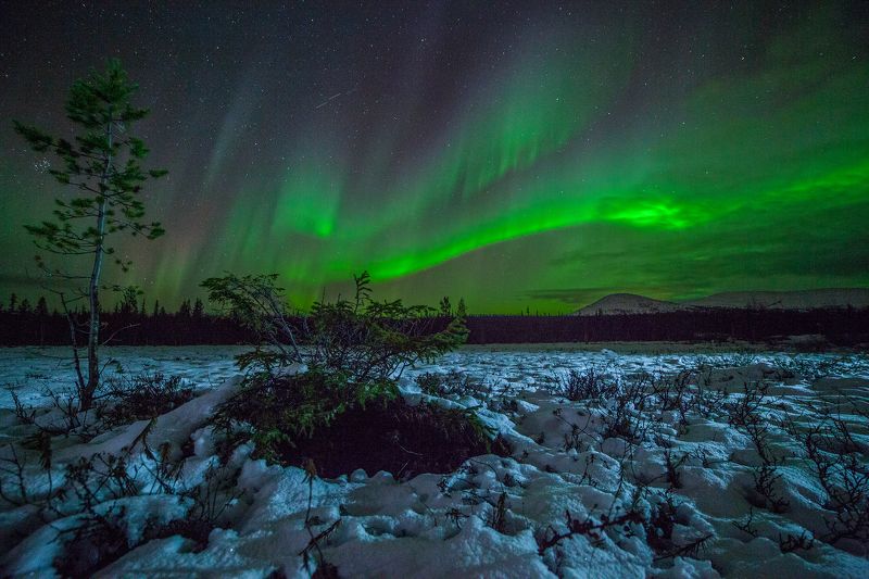 Хренов Сергей, Russia