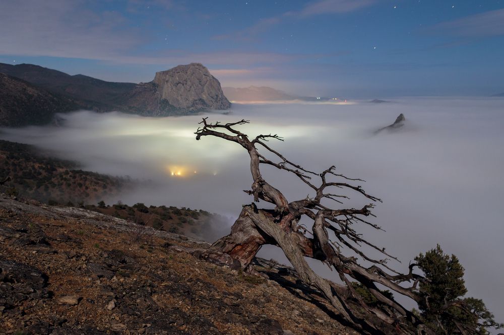 Долгожитель