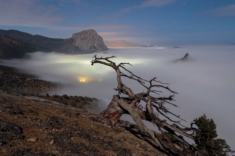 Andrew Shelyakin, Russia