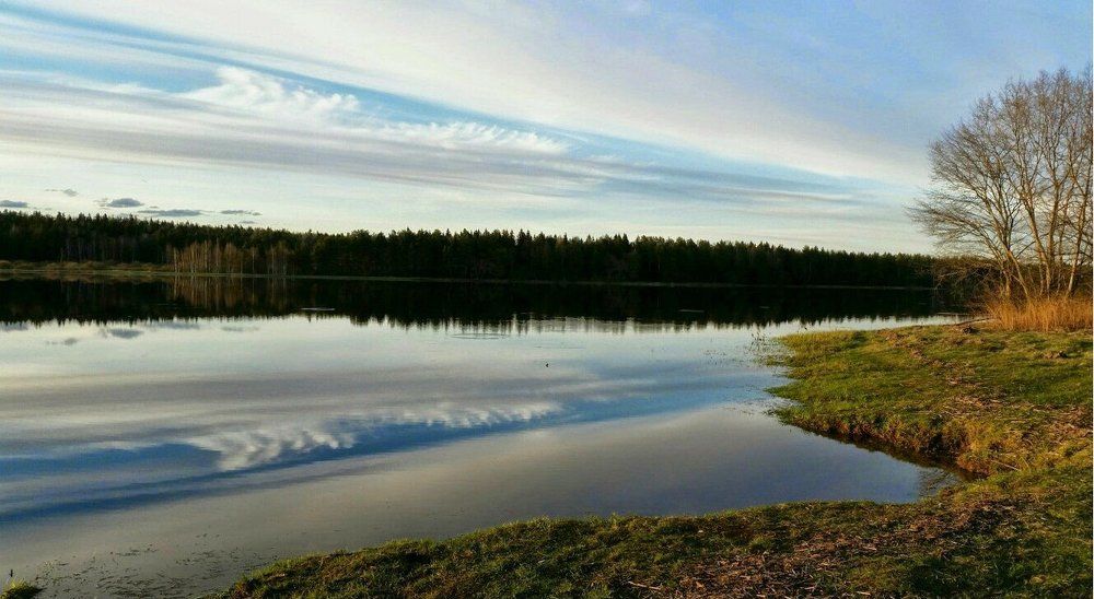 Осенний день
