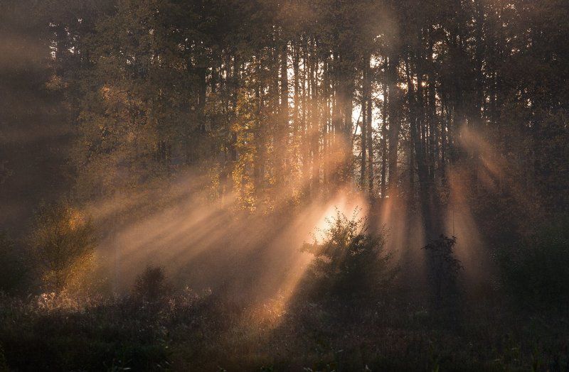 Yevgeniy Tsvetkov., Russia
