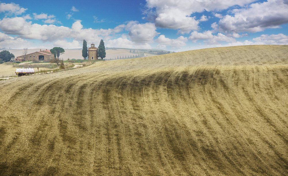 ПОЛЕЙ БЕСКРАЙНИЕ ПРОСТОРЫ. Из серии "Toscana - amore mio"