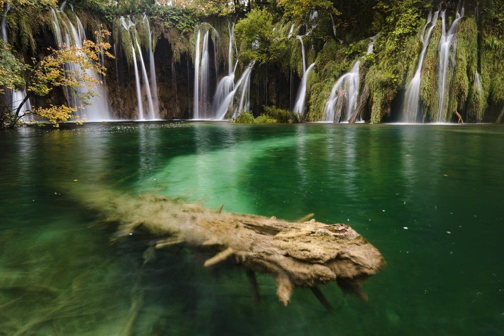 Доадамовы времена...