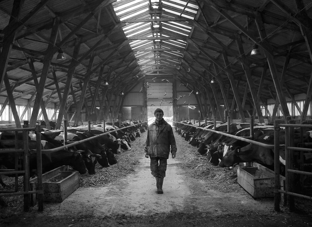 Сельская жизнь