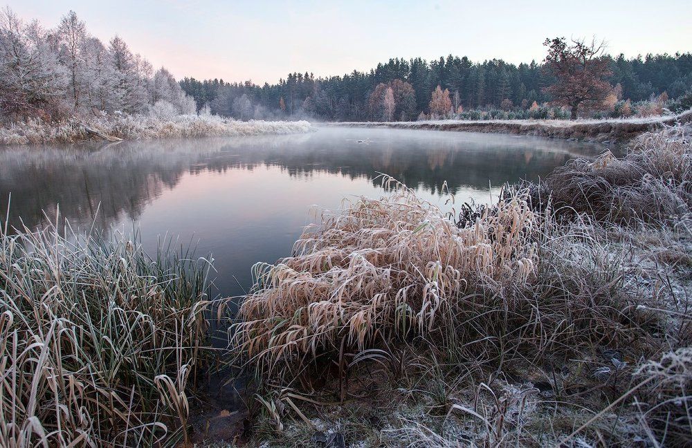 Седая осень