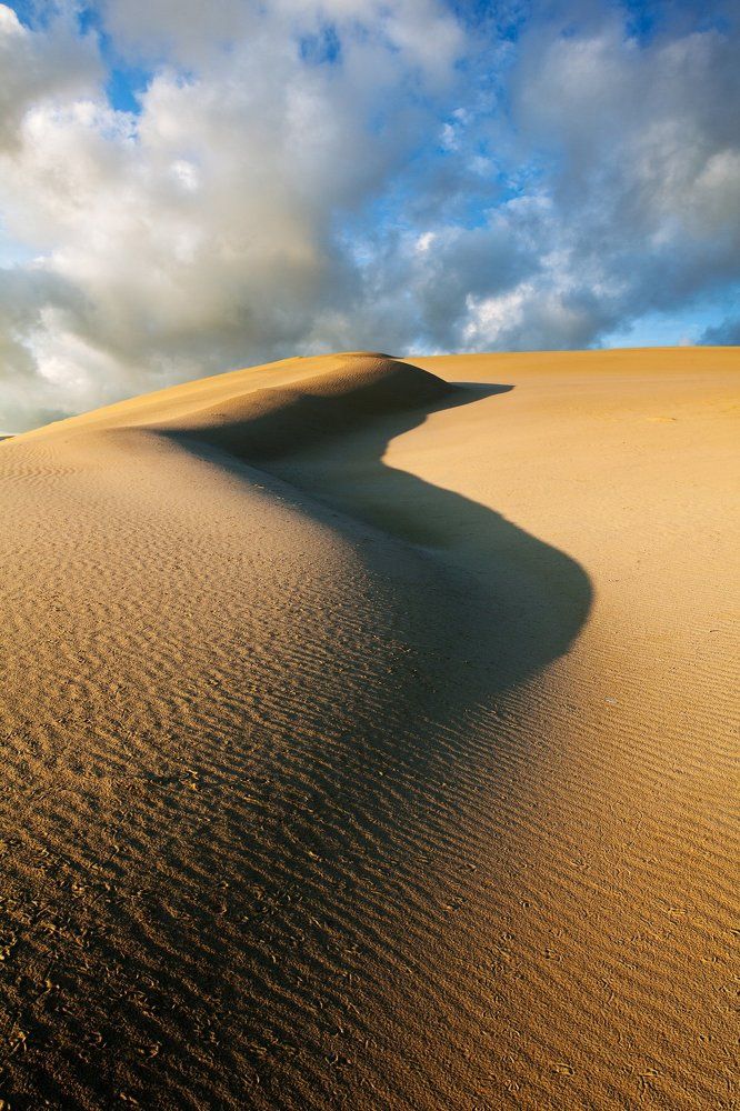 Дюны Куршской косы