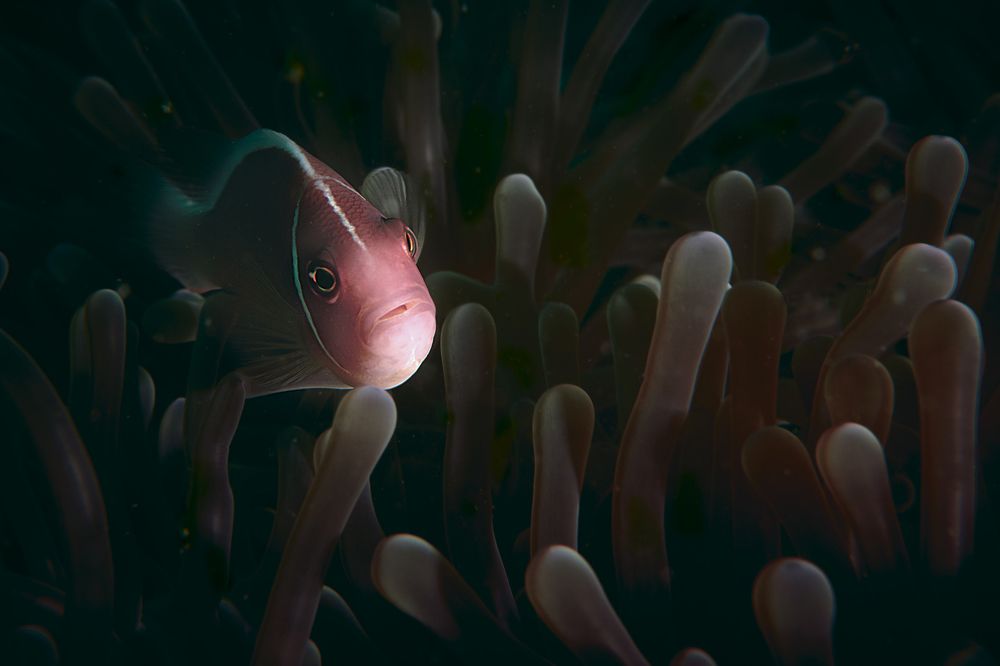 Photograph by Vadim Dyskin