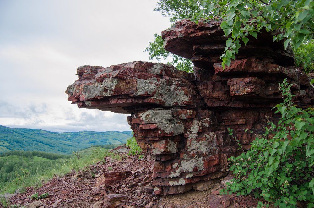 Photograph by Зайцев Тимофей