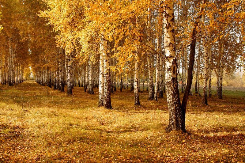 andrew ivanov, Russia