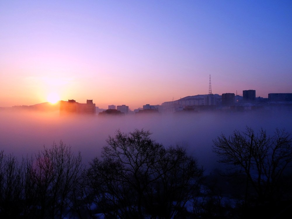 Чернично-йогуртовый рассвет