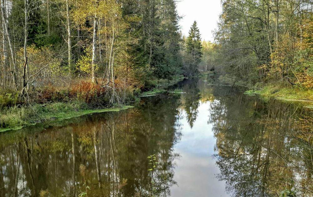 Photograph by Татьяна Белгарокова