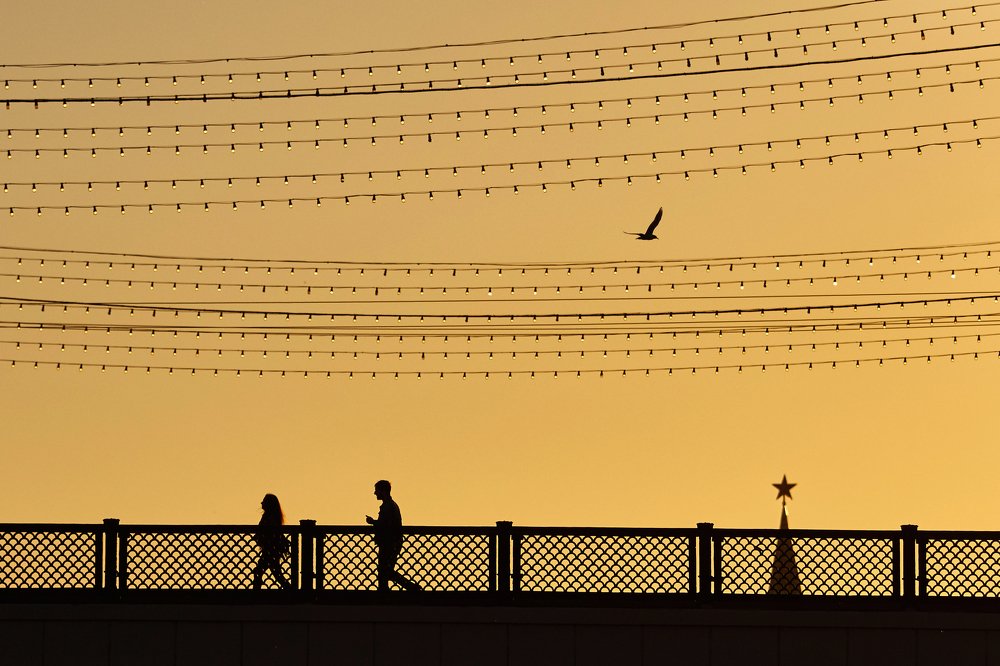 В погоне за счастьем?
