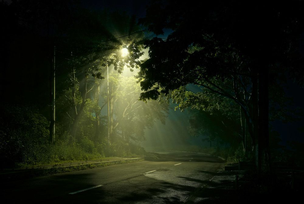 Цвета летней ночи