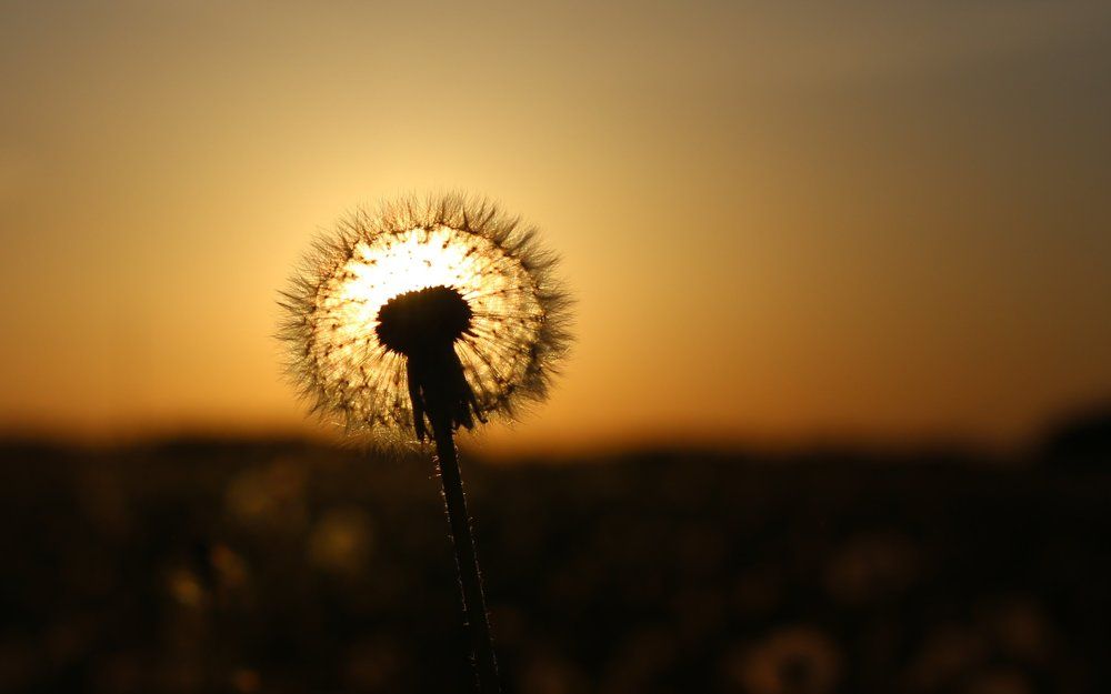 Photograph by Михаил Штепо