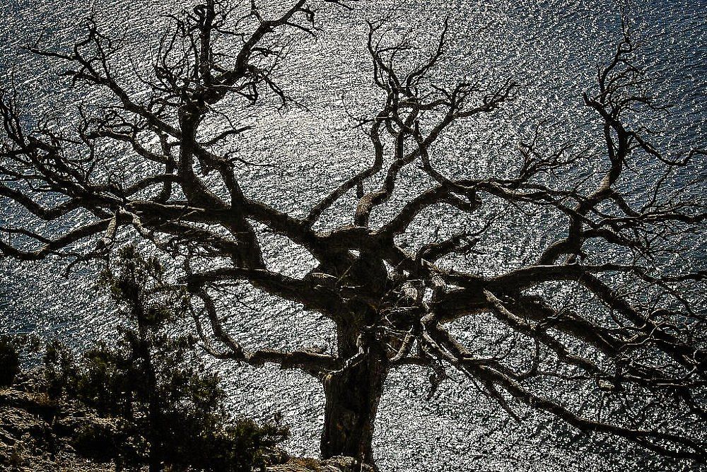 Жизнь над обрывом