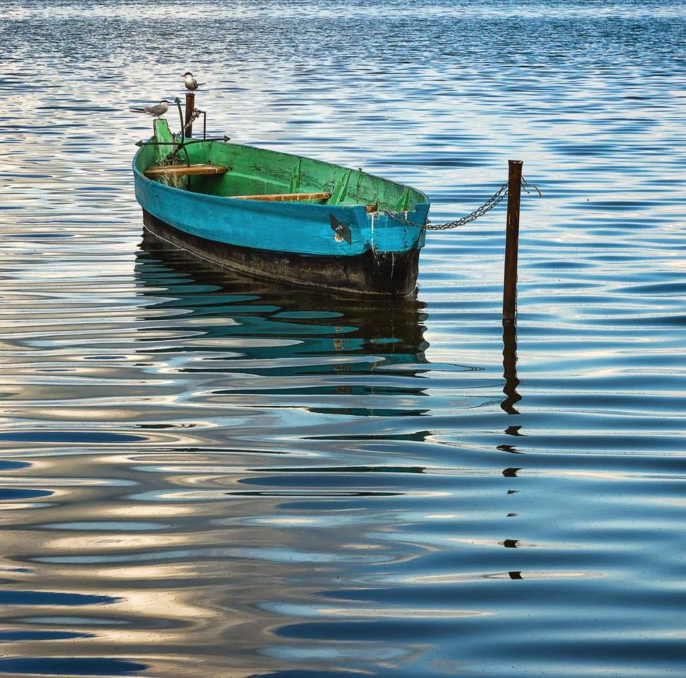 Photograph by Владимир Киреев