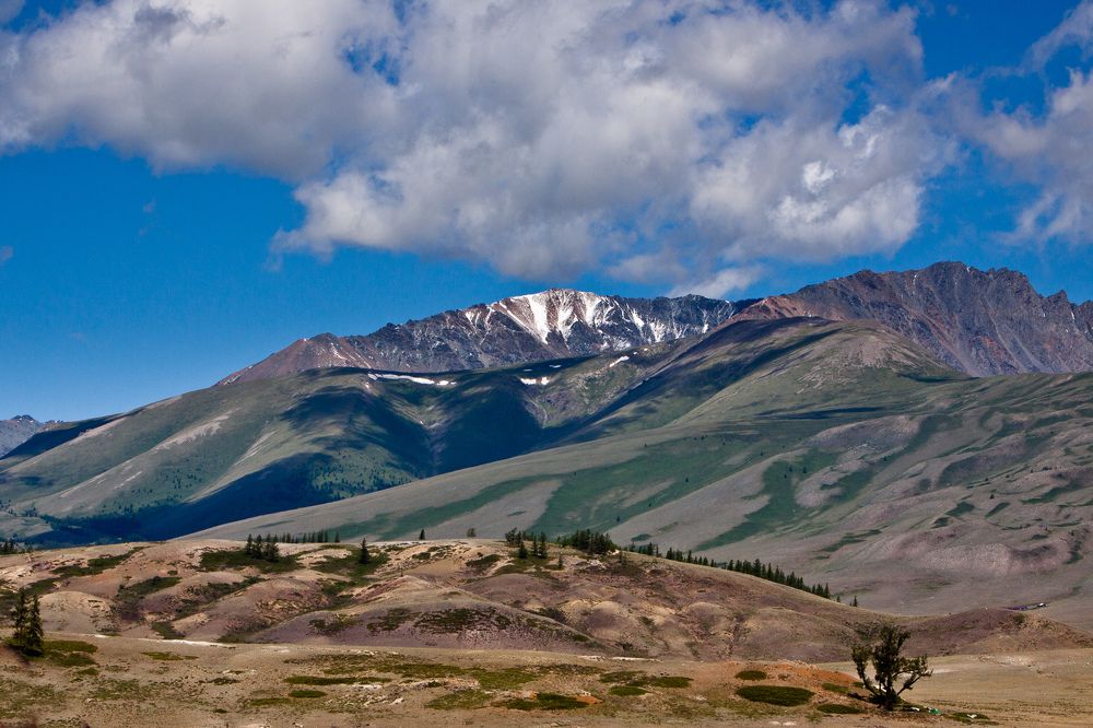 Курайская степь