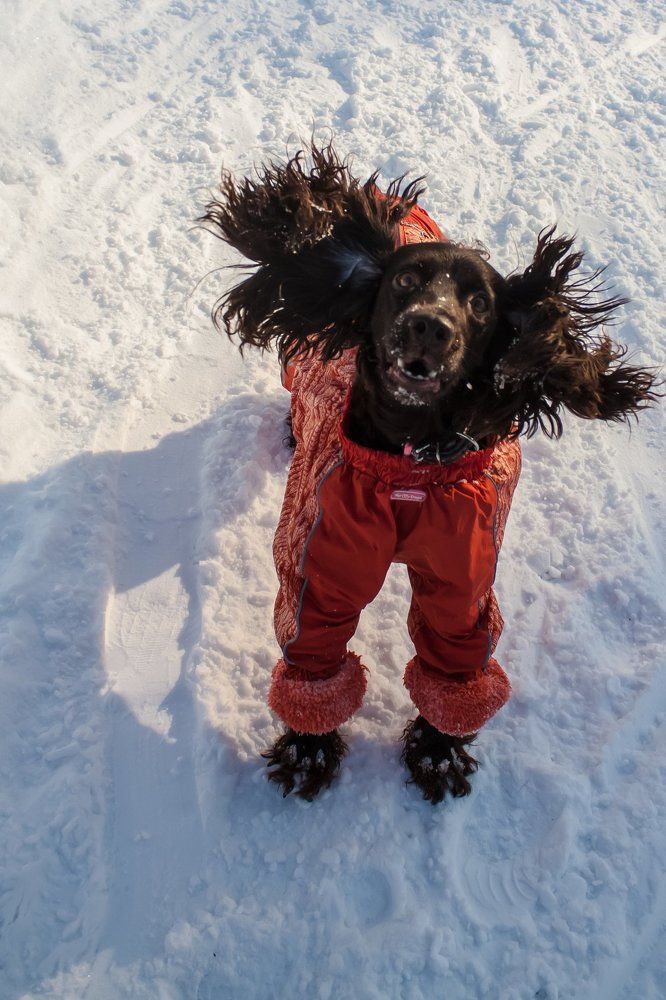 Привет Герда!