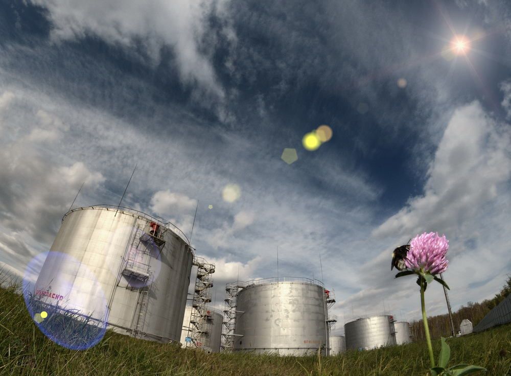 Две цивилизации